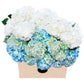 Farm2Door Flowers -Farm-Fresh Hydrangeas, 8 White and 7 Blue Hydrangeas without vase - Gift for Birthday, Sympathy, Anniversary, Thank You, Valentine, Mother’s Day Fresh Flowers