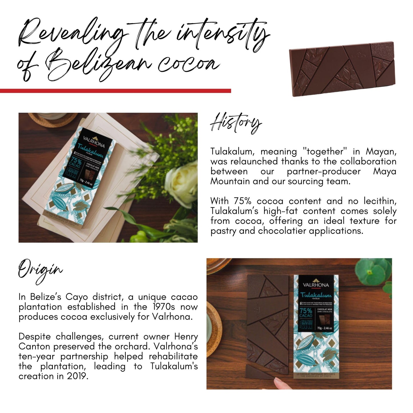 Valrhona Premium Dark Chocolate Tulakalum 75% Cacao Tasting Bars-Single Origin Belize Gourmet French Chocolate Perfect For Bakin
