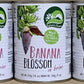 KC Commerce Nature's Charm Banana Blossom In Brine 18oz By KC Commerce (Pack of 3)