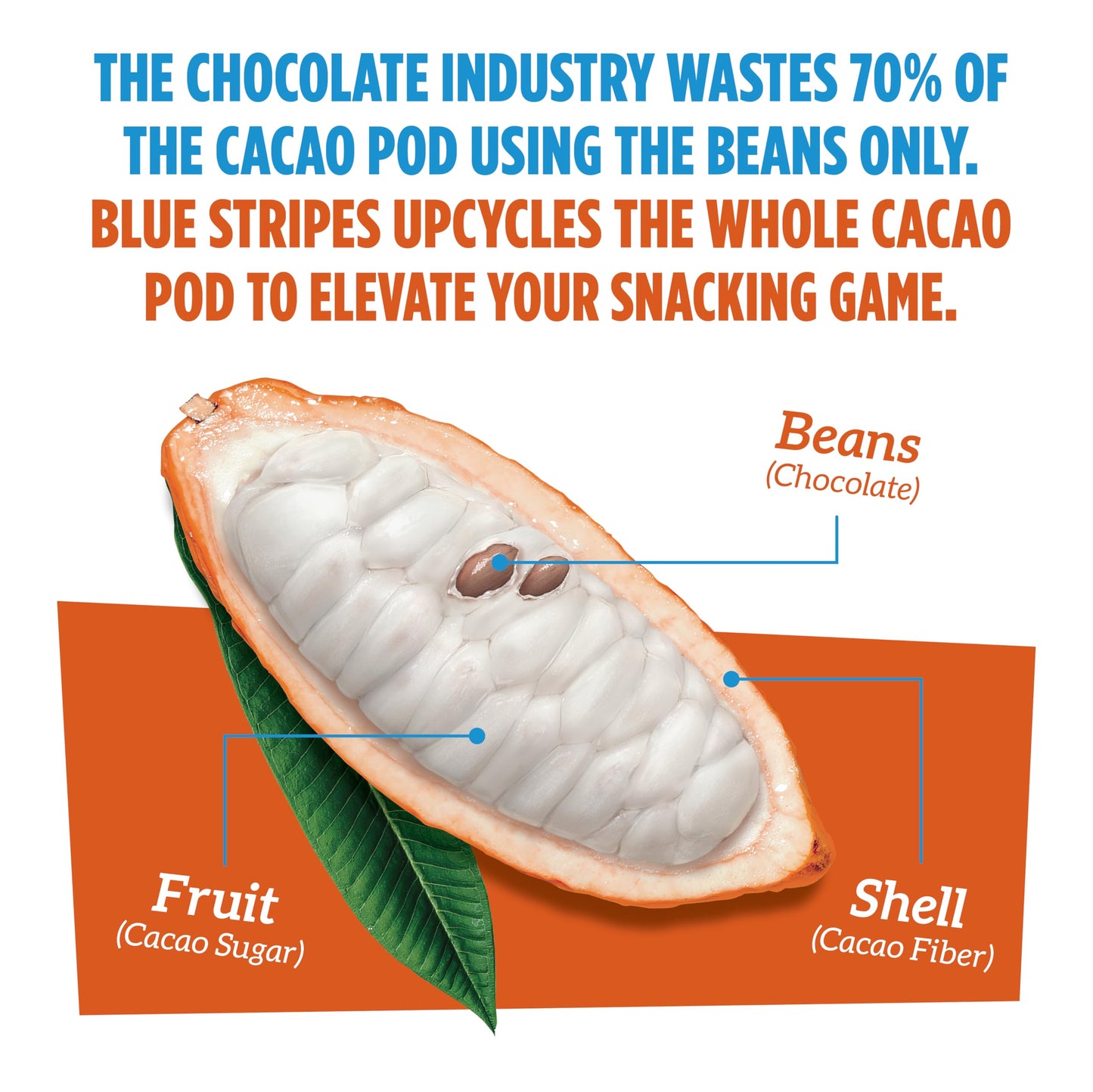 Blue Stripes - Trail Mix, 70% Chocolate Chips, Almonds, Macadamia Nuts, Mango, Healthy Snacks for Adults, Whole 70% Cacao, With