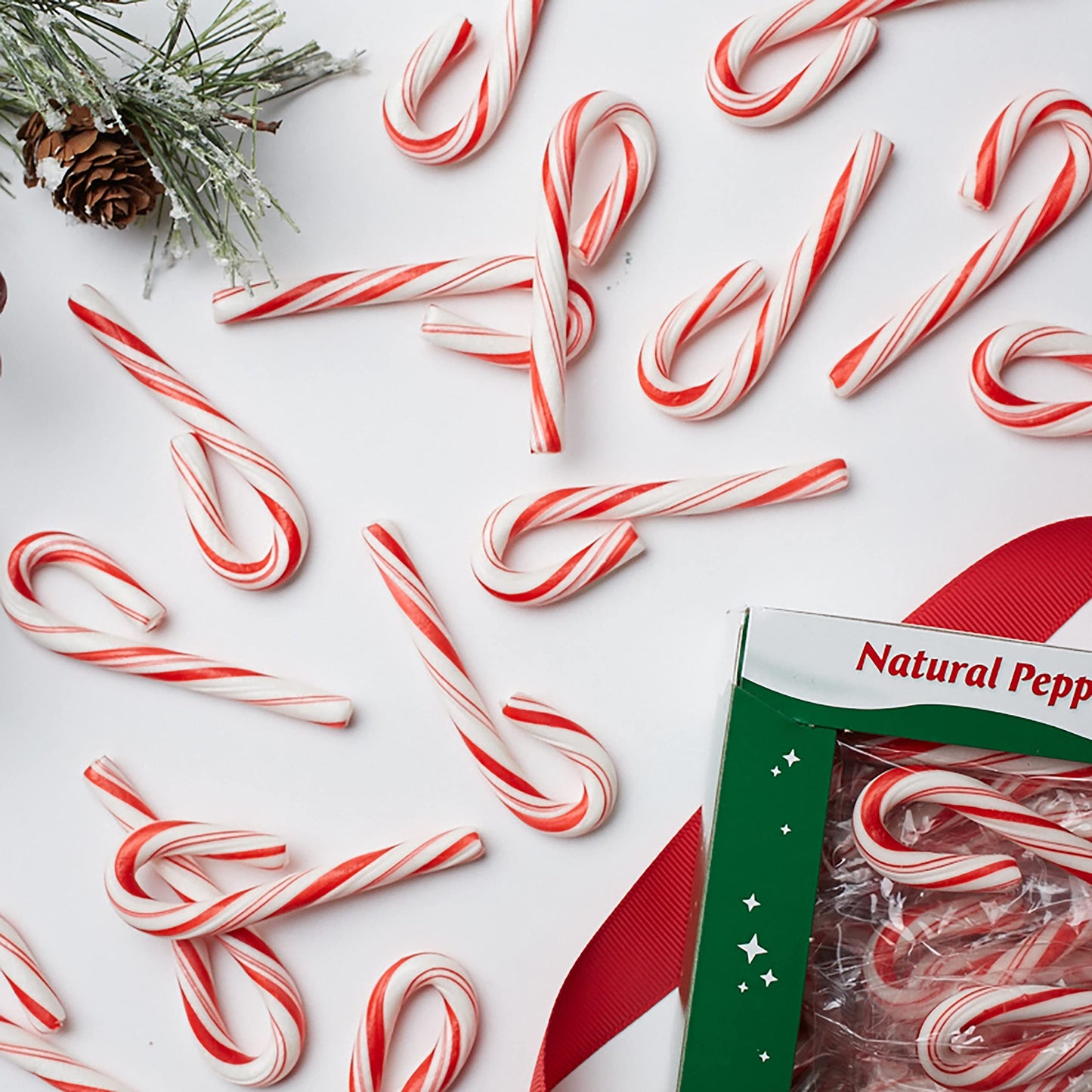 Spangler Red And White Peppermint Mini Canes 240 Count Box