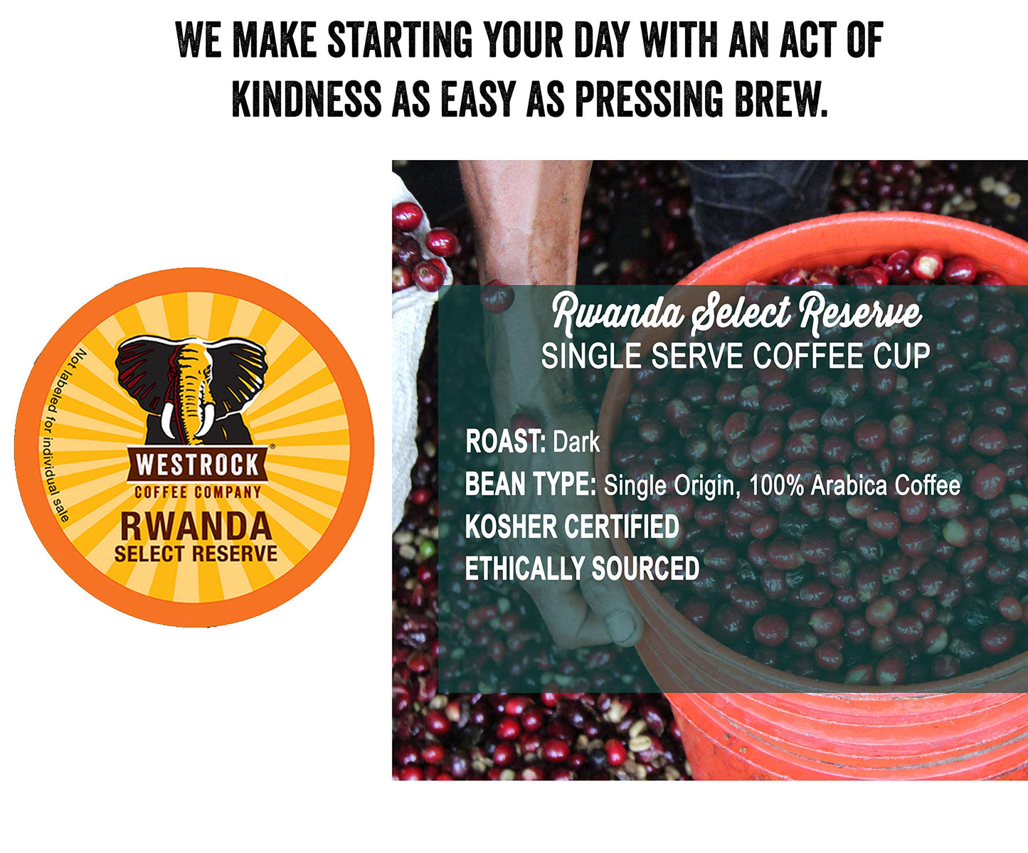 Westrock Coffee Company, Rwanda Select Reserve, Single Serve Coffee Cup, Dark Roasted, 80 Count