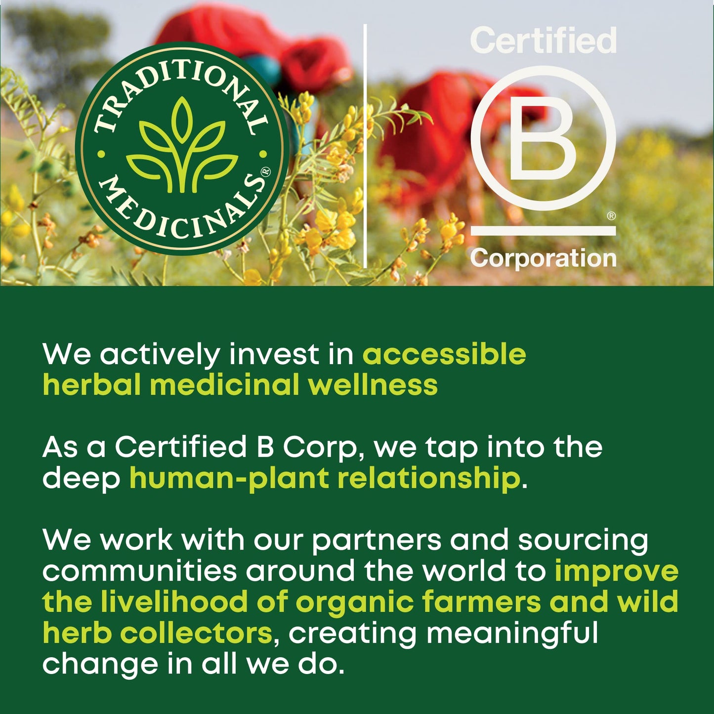 Traditional Medicinals Tea, Organic Hibiscus, Supports Your Cardiovascular System, 16 Tea Bags