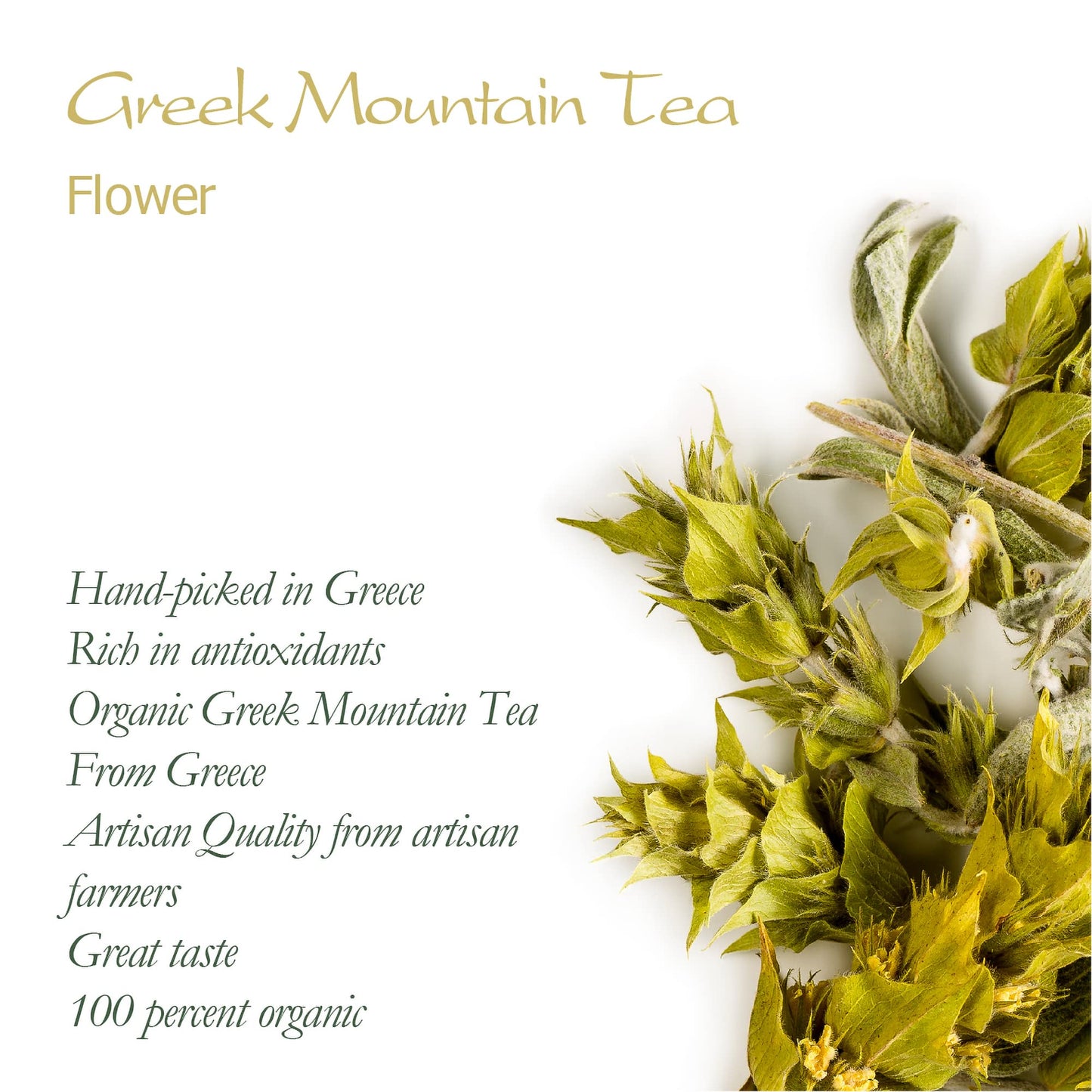 Greek Mountain Tea Organic Handpicked - Ironwort Herbal Tea Mt Olympus Greece - Sideritis Scardica Shepherds Greek Teas Mountai
