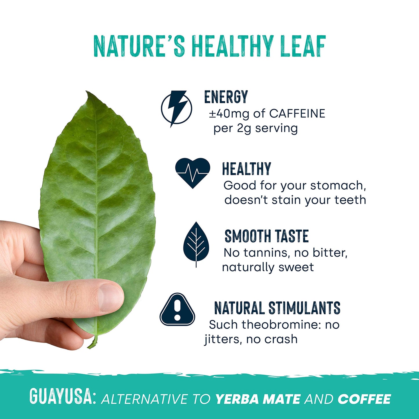 Organic Guayusa Cacao Tea Bags By Waykana, 96 Counts | Alternative To Yerba Mate, Coffee And Green Tea: Smooth Flavor No Bitter | Boost Performance, Energy & Mental Clarity