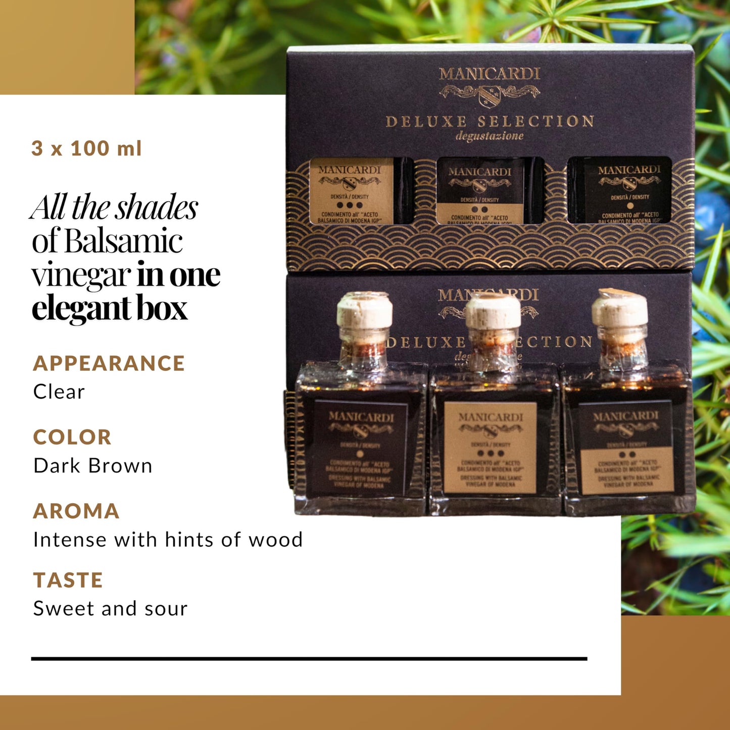 Manicardi Set Of 3 Condimenti With Balsamic Vinegar Of Modena Pgi - Selected With Three Different Degrees Of Density - Made In I