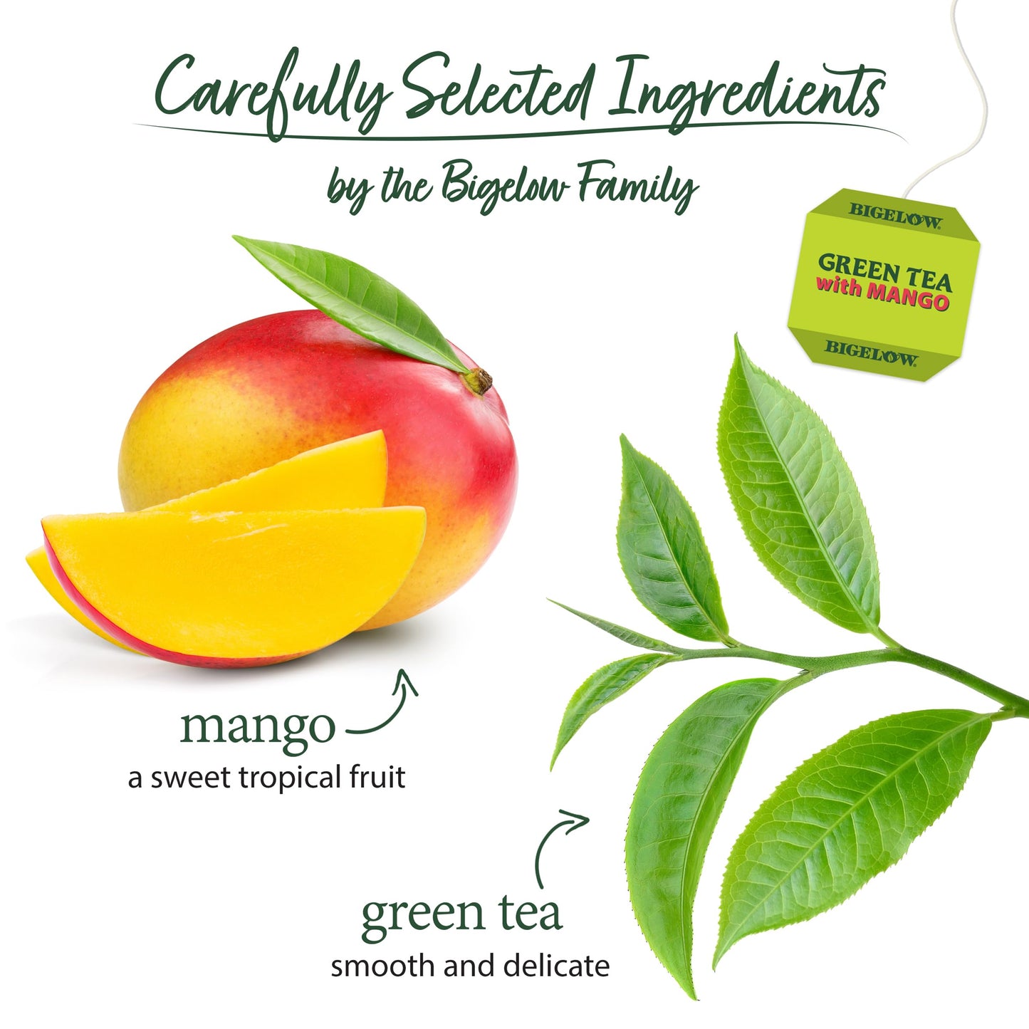 Bigelow Tea Green Tea with Mango, Caffeinated, 20 Count Box (Pack of 6), 120 Total Tea Bags
