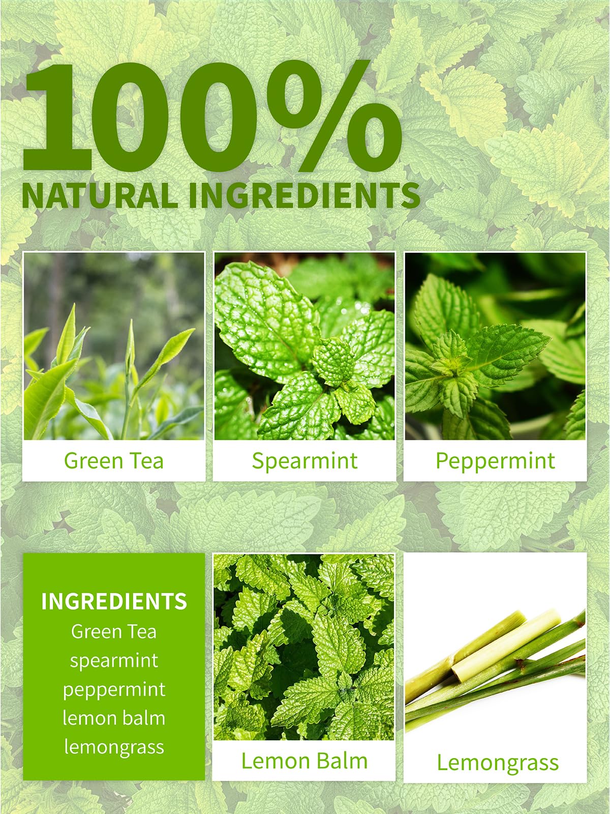 Teelux Mint Iced Green Tea Bags, Green Tea With Peppermint, Spearmint, And Lemongrass, Family Size Refreshing Iced Tea, 30 Count