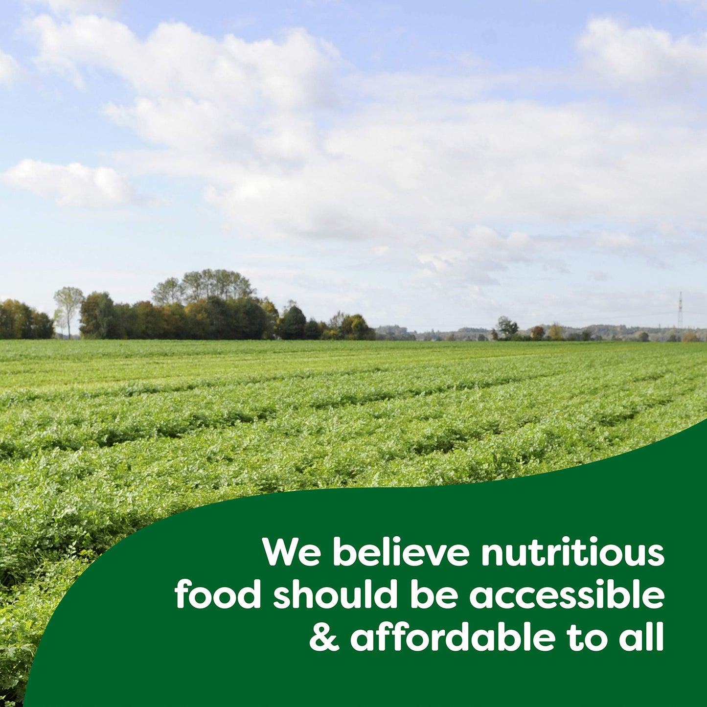 Knorr Beef/Chicken/Tomato With Chicken Bouillon For Sauces, Soups And Stews Mixed Variety Pack Fat And Cholesterol Free 2.0 lb 3
