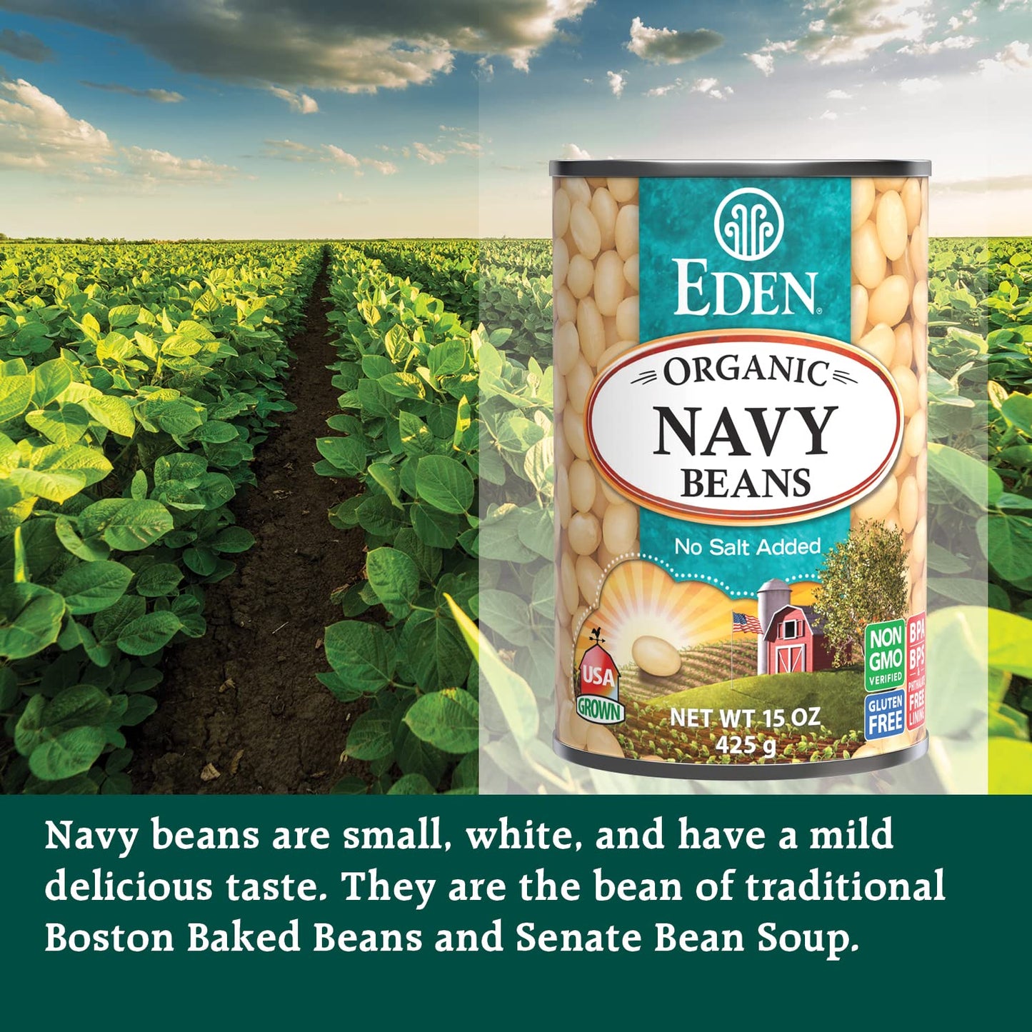 Eden Organic Navy Beans/White Beans, 15 oz Can (12-Pack), No Salt, Non-GMO, Gluten Free, Vegan, Kosher, U.S. Grown, Heat and Ser