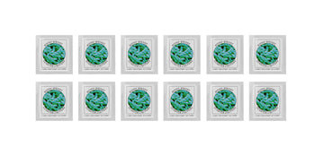 Yogurt Starter Cultures - Pack Of 12 Freeze-Dried Culture Sachets For Bifido Yogurt (12)