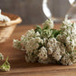 Yarrow Flowers - Ingredients: 100% Yarrow Flowers (Achillea Millefolium) - All Natural Ayurveda Herb - Net Weight: 1.05Oz / 30G