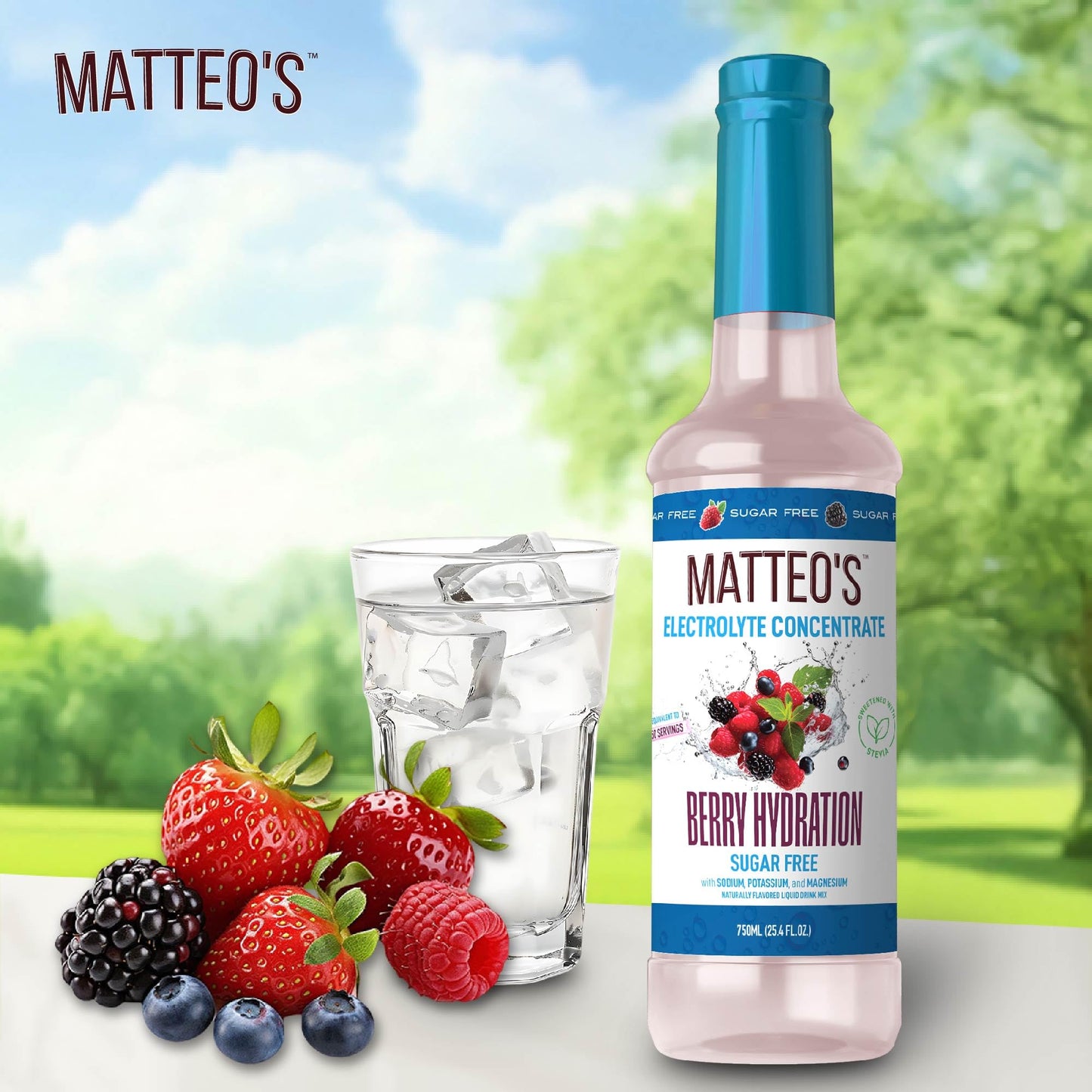 Matteos Sugar-Free Electrolyte Drink Concentrate, Berry Flavor, 25.4 Fl Oz, Ideal for Workouts and Rehydration