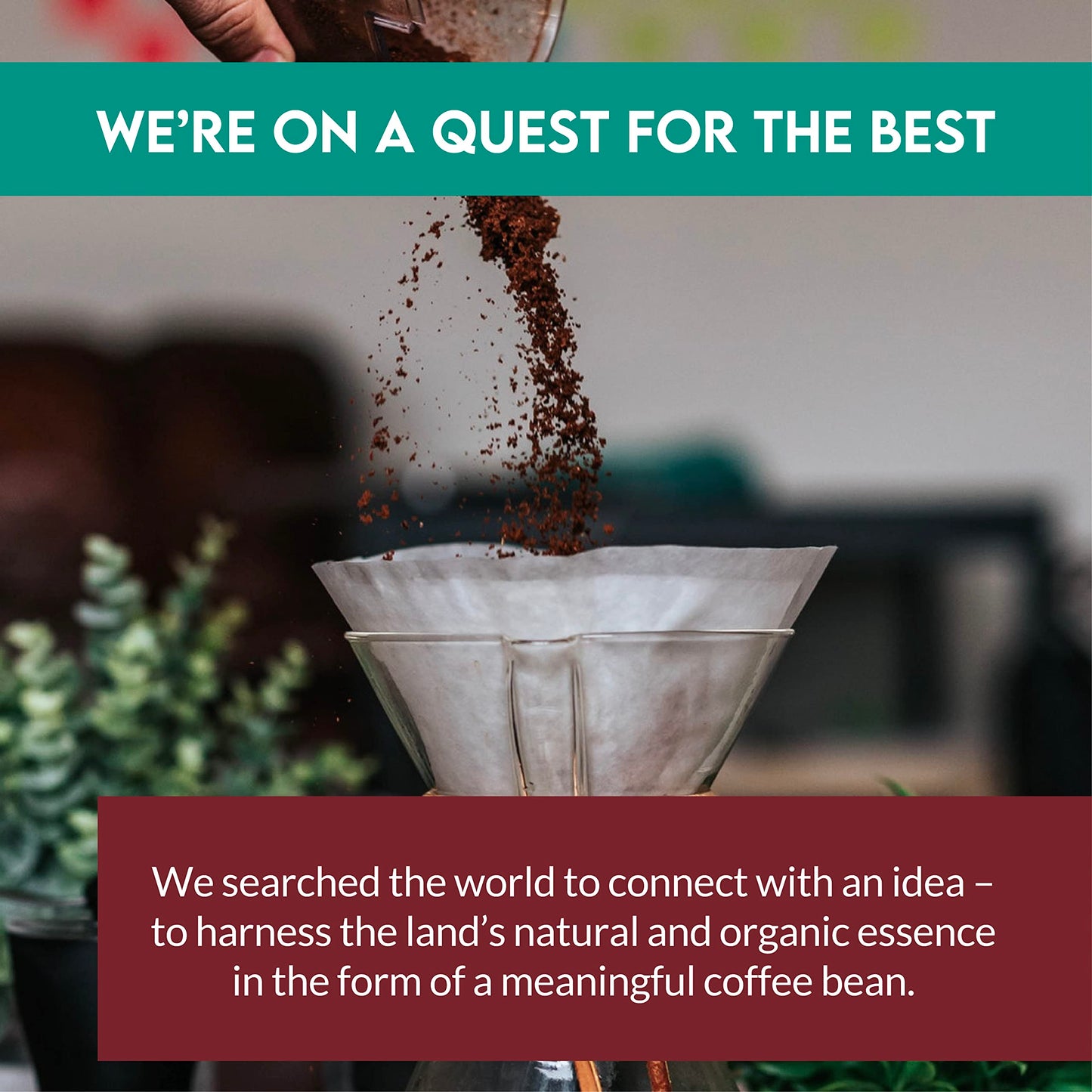 CLEAN COFFEE CO Low Acid Ground Coffee, Dark Roast, 12oz Bag, Honduran El Jaguar
