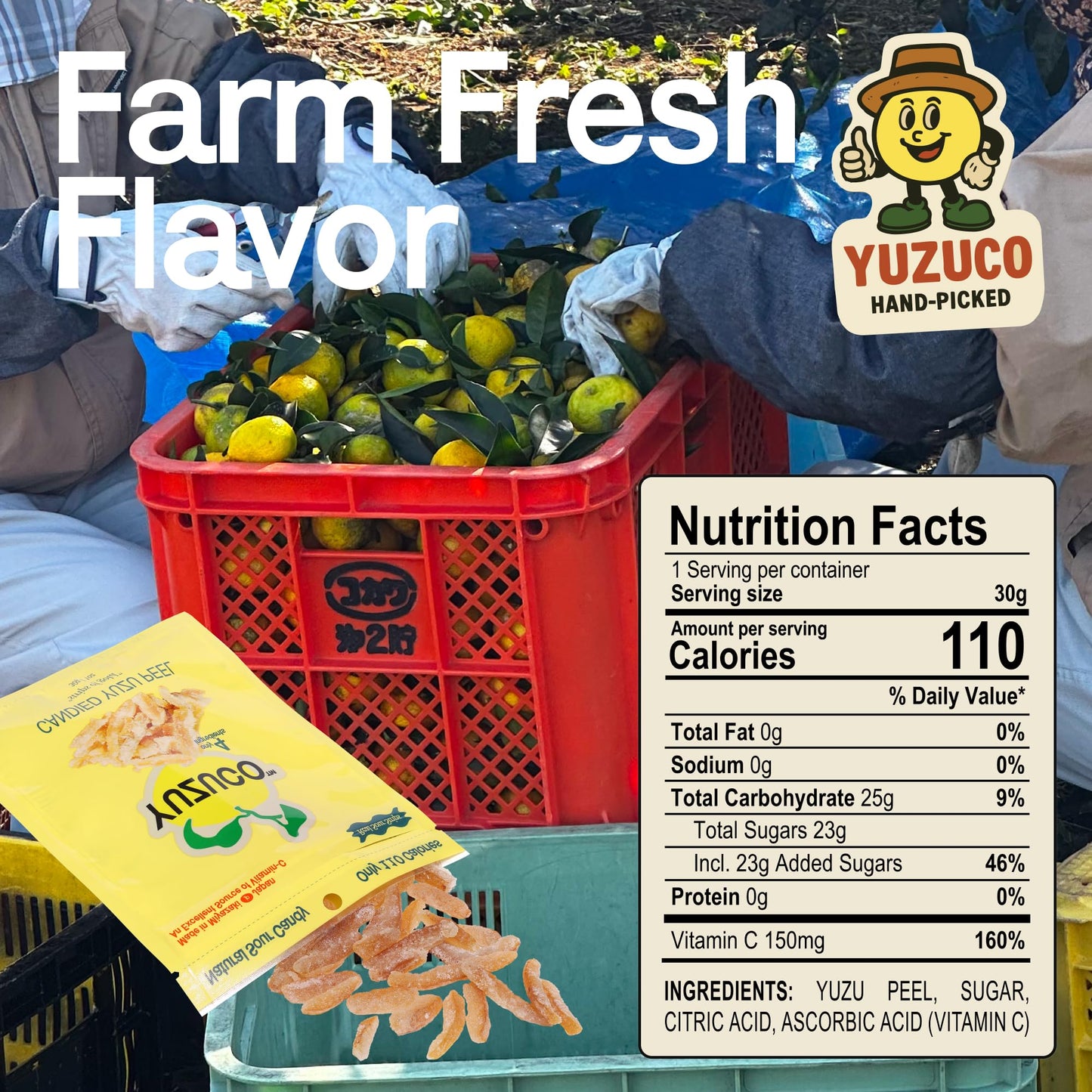 YUZUCO - Candied Yuzu Peels (1 Ounce Bag) - Great for Snacking, Garnish for Cocktails and Desserts