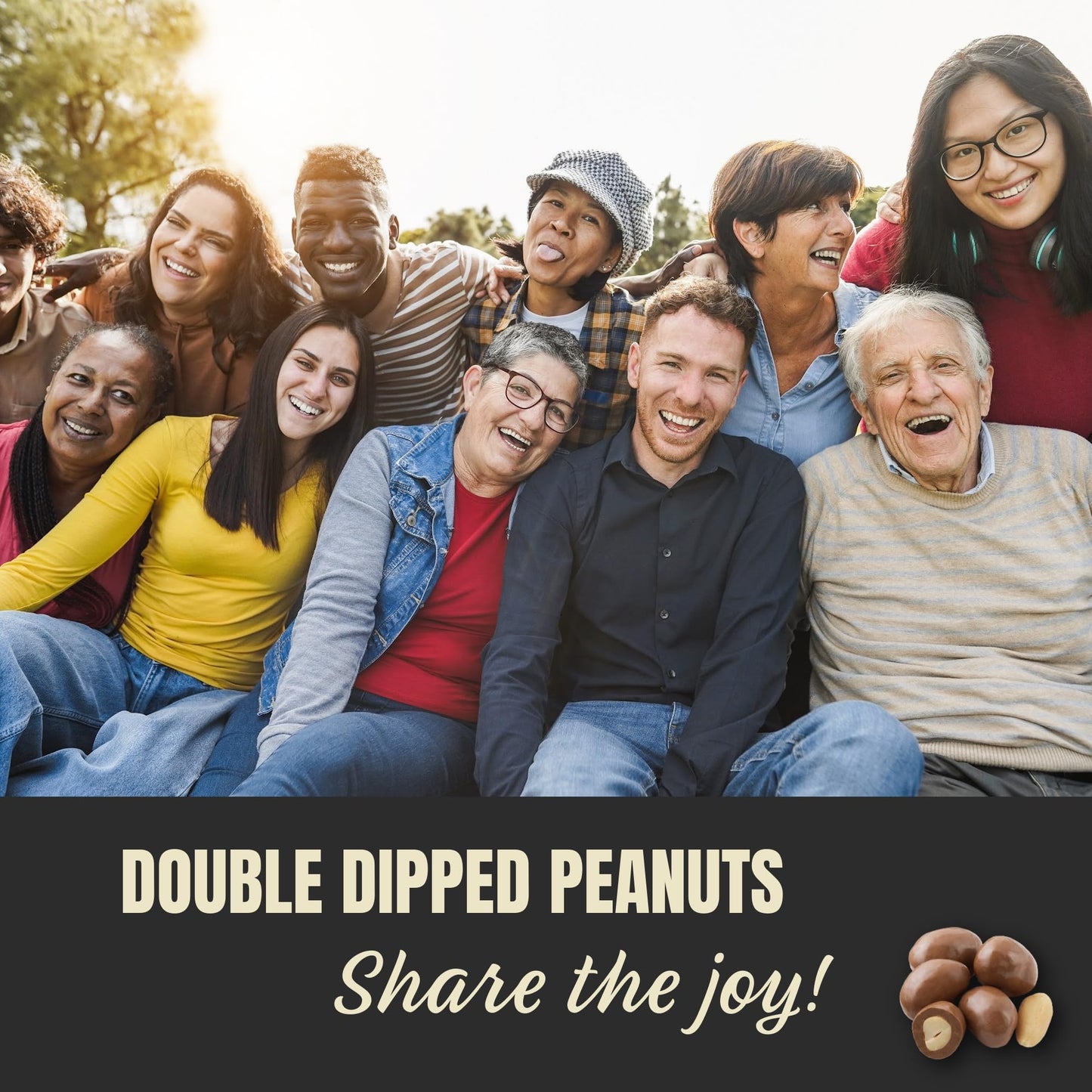 Double Dipped Peanuts Milk Chocolate Covered Peanuts (1 Pound) Wholesale Bulk Candy, Snack Nuts