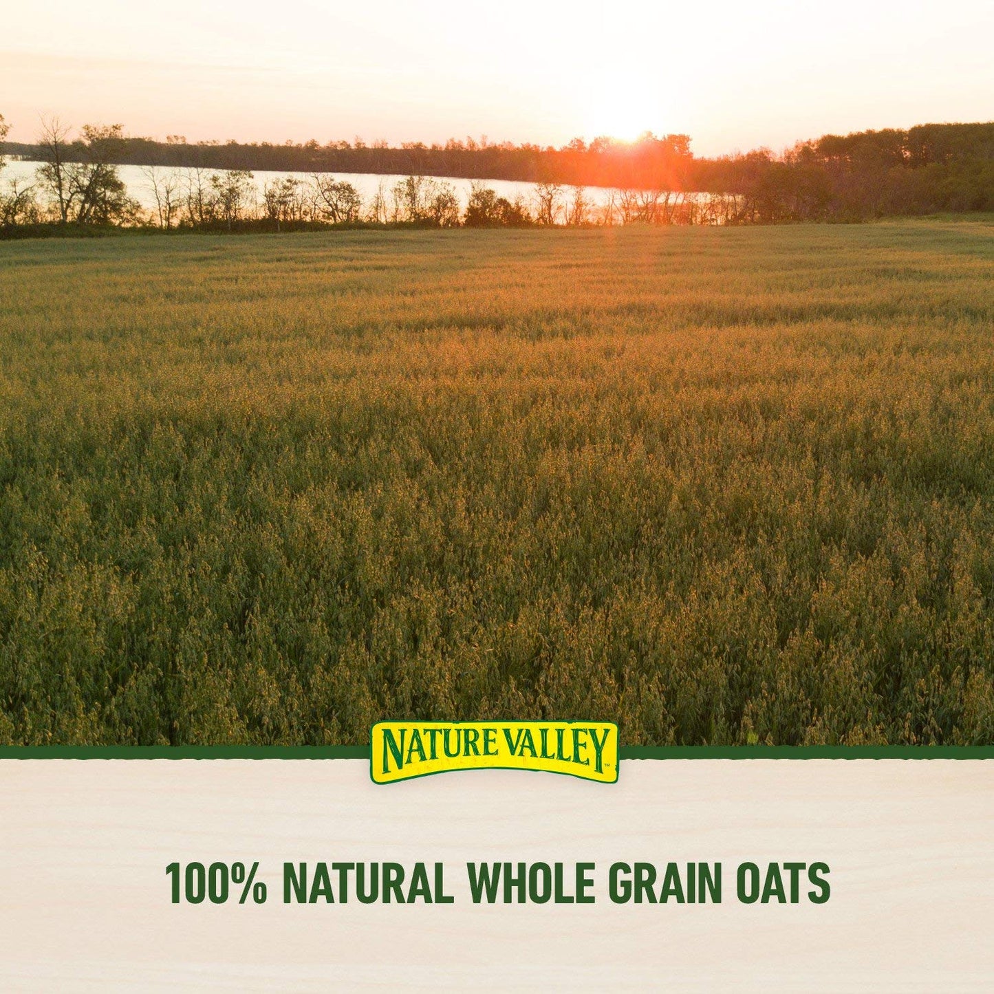 Nature Valley Crunchy Granola Bars Oats 'N Honey - 98 Bars Of 2 Bar Pouches Of 49Ct-1.49Oz
