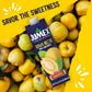 Jumex Guava Juice Nectar - Guava Nectar Made With Fresh Fruit Puree - Tropical Fruit Juice Concentrate For Smoothie Mix, Cocktail Mixers, Kids Drinks & Mexican Beverages - 32.4Oz, 1 Pack Carton