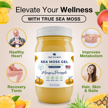 TrueSeaMoss Wildcrafted Irish Sea Moss Gel -7 Flavors- Nutritious Raw Seamoss Rich in Minerals, Proteins & Vitamins - Antioxidan