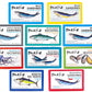 Matiz Seafood Variety Pack Sampler, 10 Pack, 4 Ounce Cans, Assorted Flavors