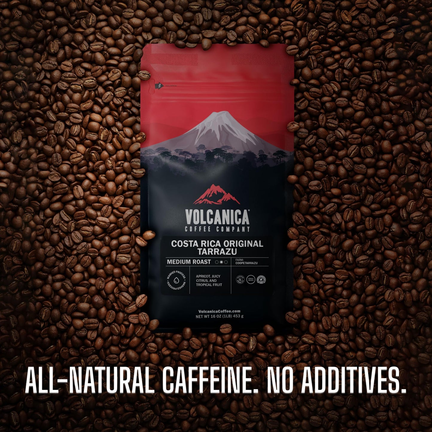 Costa Rican Coffee, Tarrazu Reserve, Dark Roast, Whole Bean, Fair Trade, Fresh Roasted, Kosher, 16-ounce (Pack of 2)