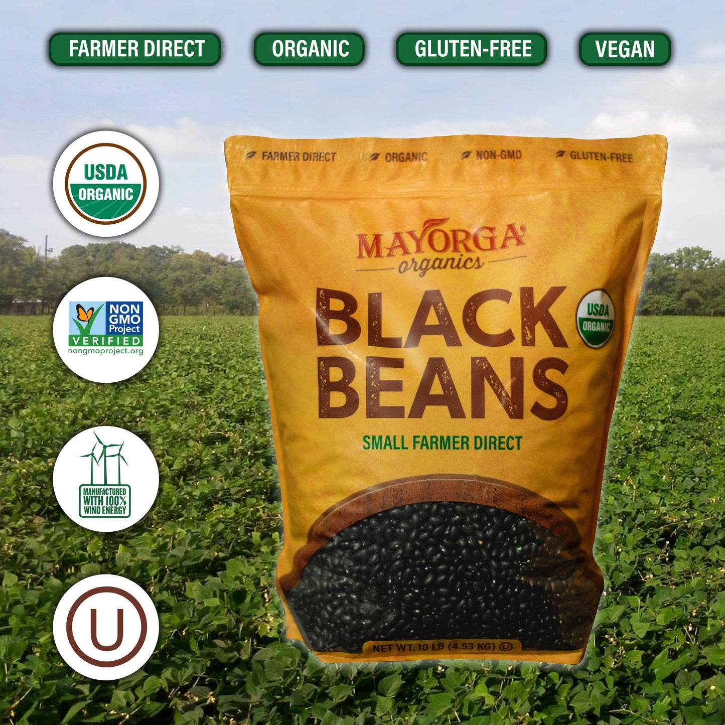 Organic Dry Black Beans By Mayorga, Usda Organic Certified, Gluten-Free, Non-Gmo Verified, Direct Trade, Kosher, Frijoles Negros