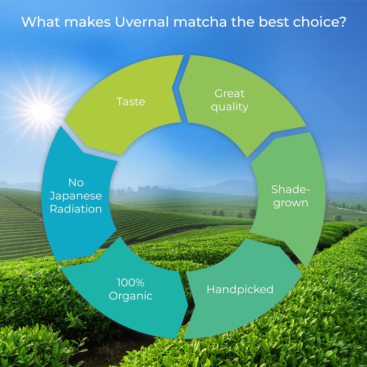 uVernal Organic Matcha Green Tea Powder - 100% Pure, Easy to Mix, 1 lb, Kosher Pareve