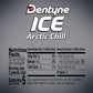 Dentyne Ice Sugar Free Gum (Arctic Chill 60 Piece Pack Of 4)