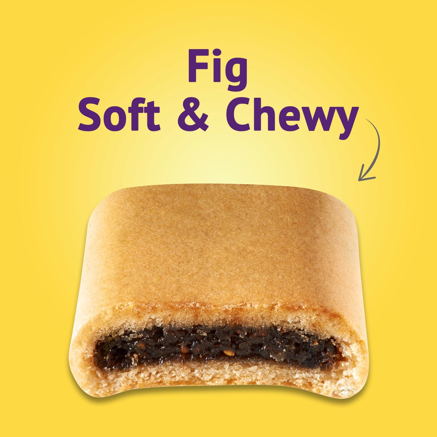 Newtons Soft & Fruit Chewy Fig Cookies, (Fig Bars), 40 Snack Packs (2 Cookies Per Pack, 4 Boxes)