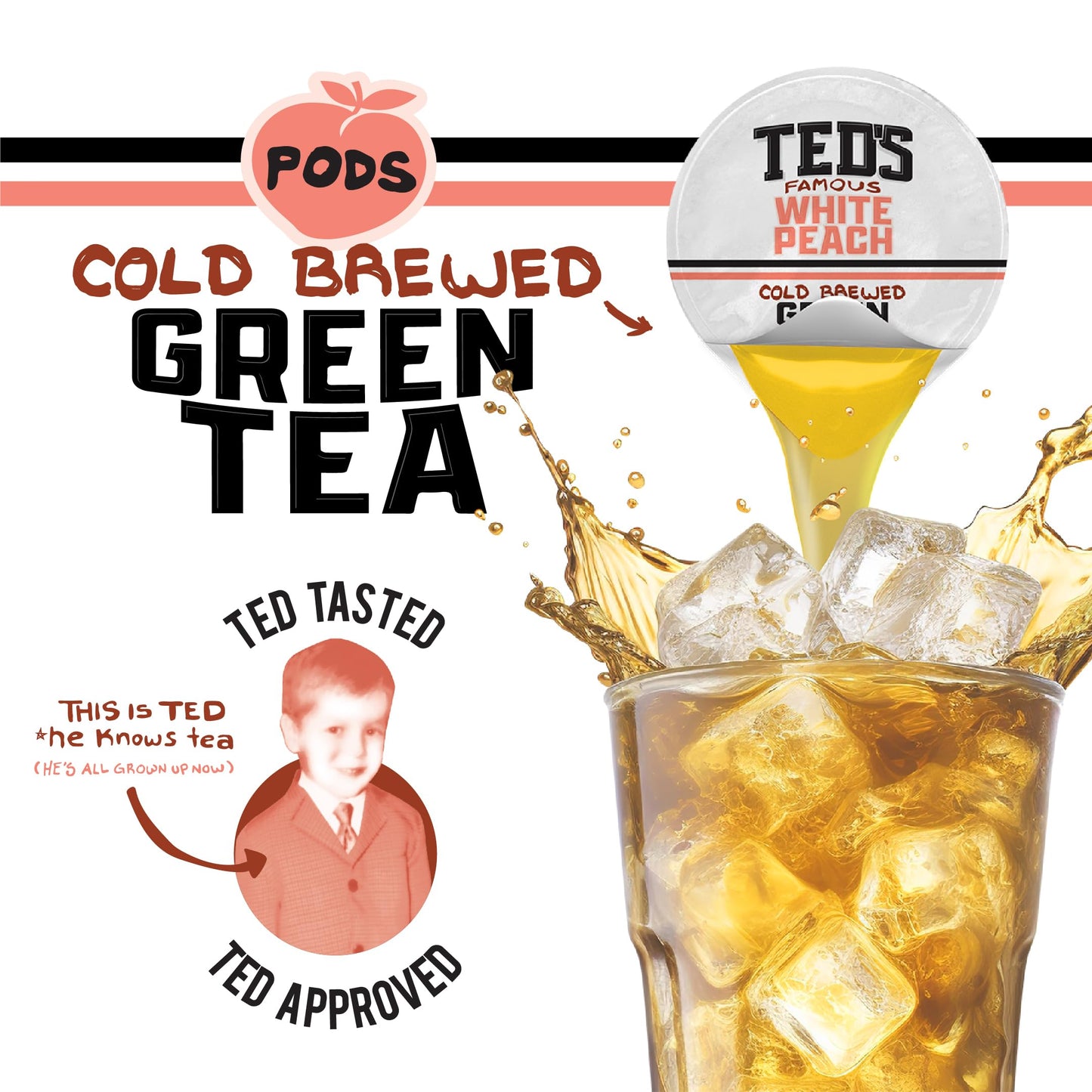 Teds Tea by Java House - Single Serve Liquid Concentrate Pods - Peel and Pour - White Peach Green Tea - Pack of 12
