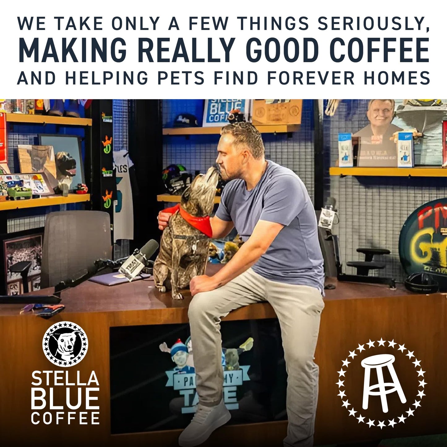 Stella Blue Espresso Caffe Mocha  100% Colombian Coffee  190mg Natural Caffeine  Good Source of Protein  Ready-to-Drink Coffee Energy Beverage  11oz Can  12 Pack