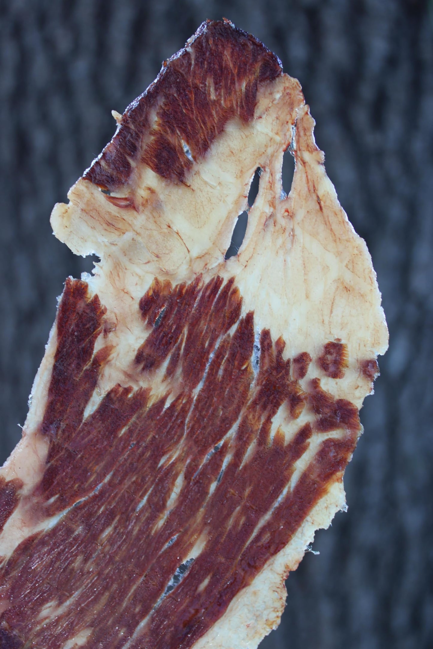 Phillips Beef Crisps - Brisket - Only Beef & Salt - Zero Carbs - Zero Sugar - High Protein Meat Snacks - 14g Protein