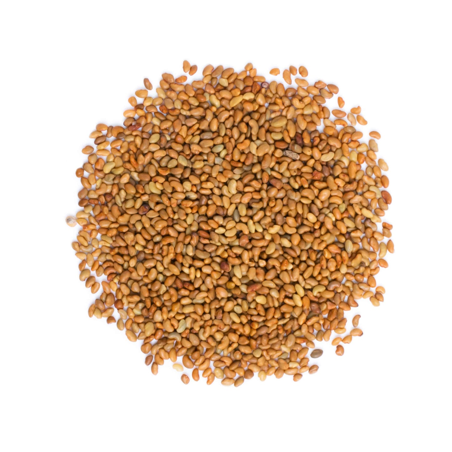 Food To Live - Organic Alfalfa Seeds For Sprouting, 3 Pounds - Non-Gmo, Edible Seeds, Pure, Vegan, Kosher, Bulk - Rich In Vitami