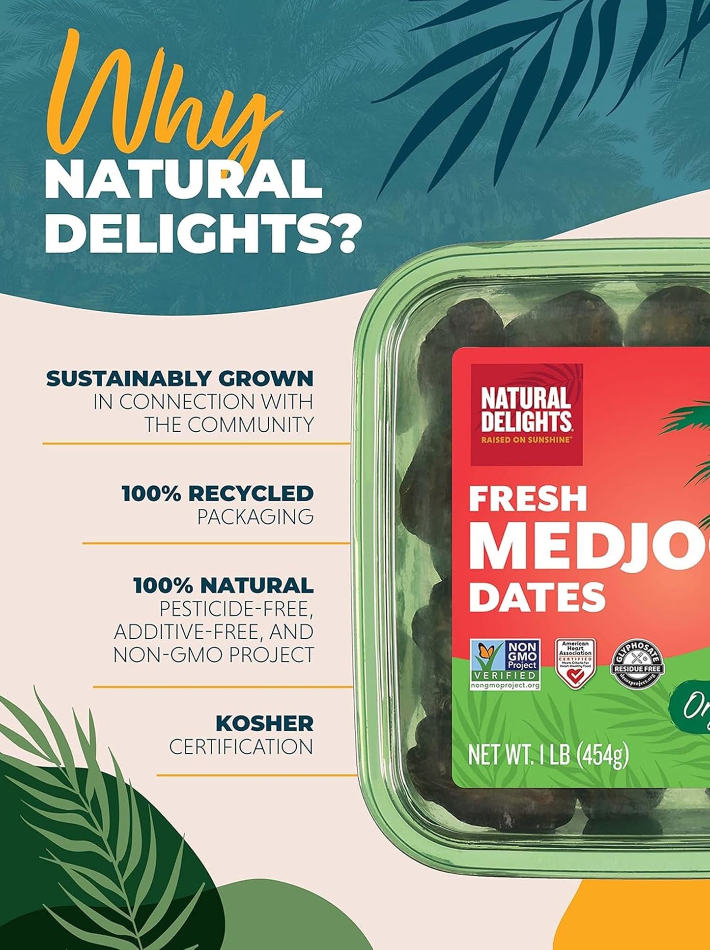 Natural Delights Organic Medjool Dates Whole - USDA Certified Organic Fruit  Good Source of Fiber & Potassium  Naturally Sweet  Snack for On-the-Go  Large & Plump Dates - 12 oz Tub (Pack of 2)