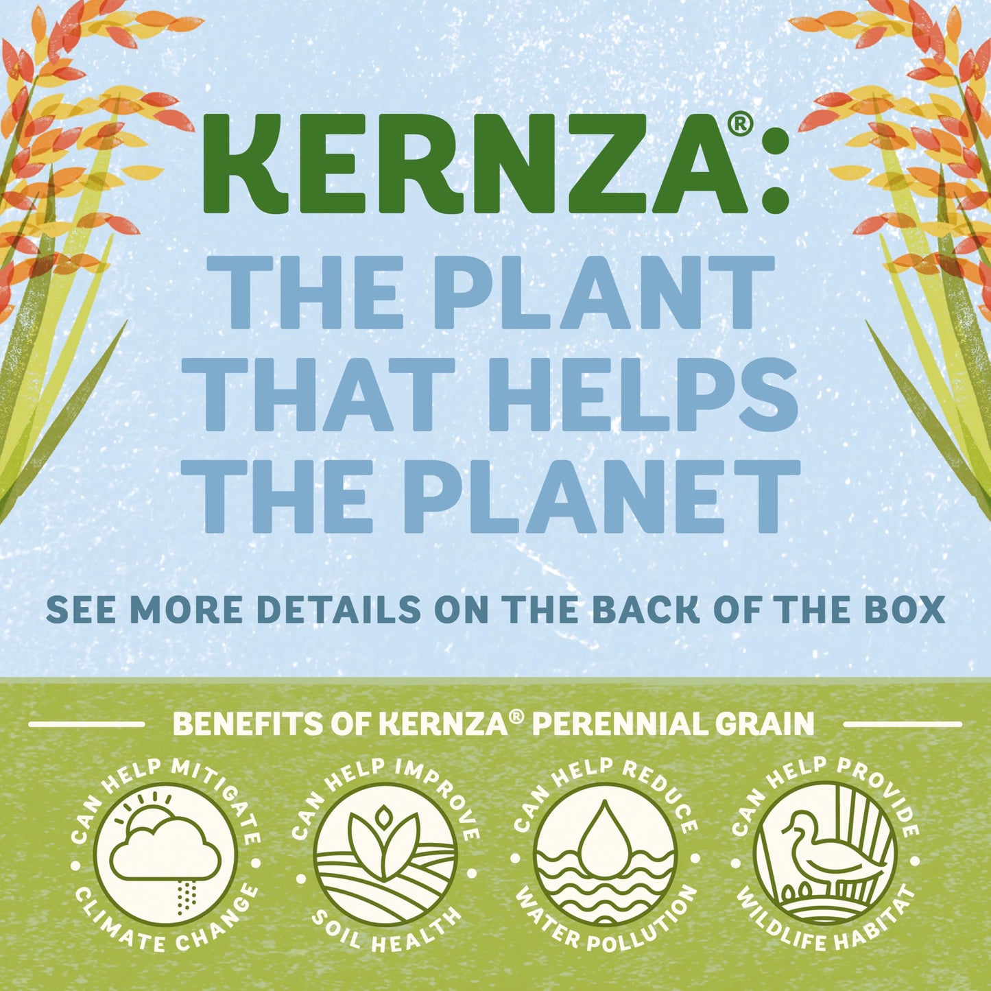 Cascadian Farm Organic Honey Crunch Oat Cereal, 13.5 oz