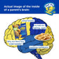 Mrs. Ts Four Cheese Pierogies Frozen Box,12 Ct , 16 Oz