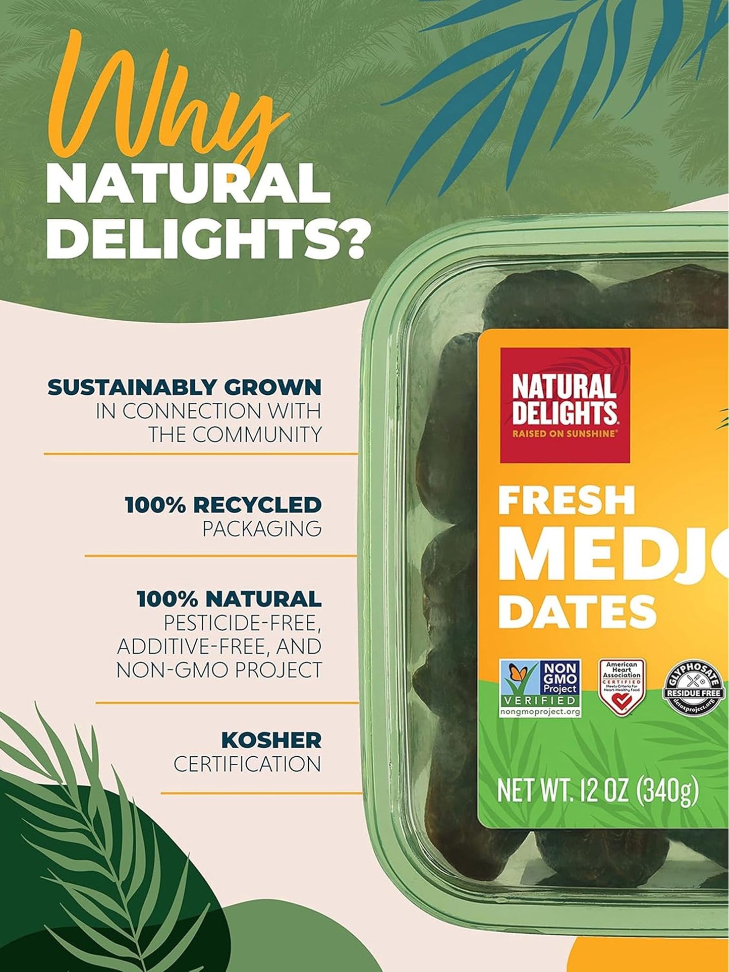 Natural Delights Organic Medjool Dates Pitted - USDA Certified Organic Fruit  Good Source of Fiber & Potassium  Naturally Sweet  Snack for On-the-Go  Large & Plump Dates - 12 oz Tub (Pack of 2)