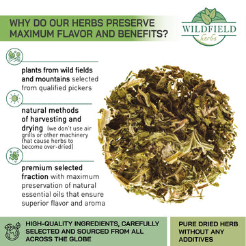 4 oz. Motherwort Tea Dried Motherwort Herb Tea (Leonurus Cardiaca) - 113g Leonurus Cardiaca (Cola De Le  n)