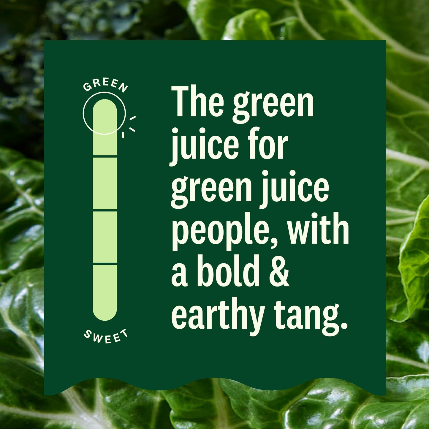 Suja Organic Cold-Pressed Uber Greens, Green Juice full of Leafy Green Cucumber, Celery, Chard, Lettuce, Kale & Grapefruit, Vega