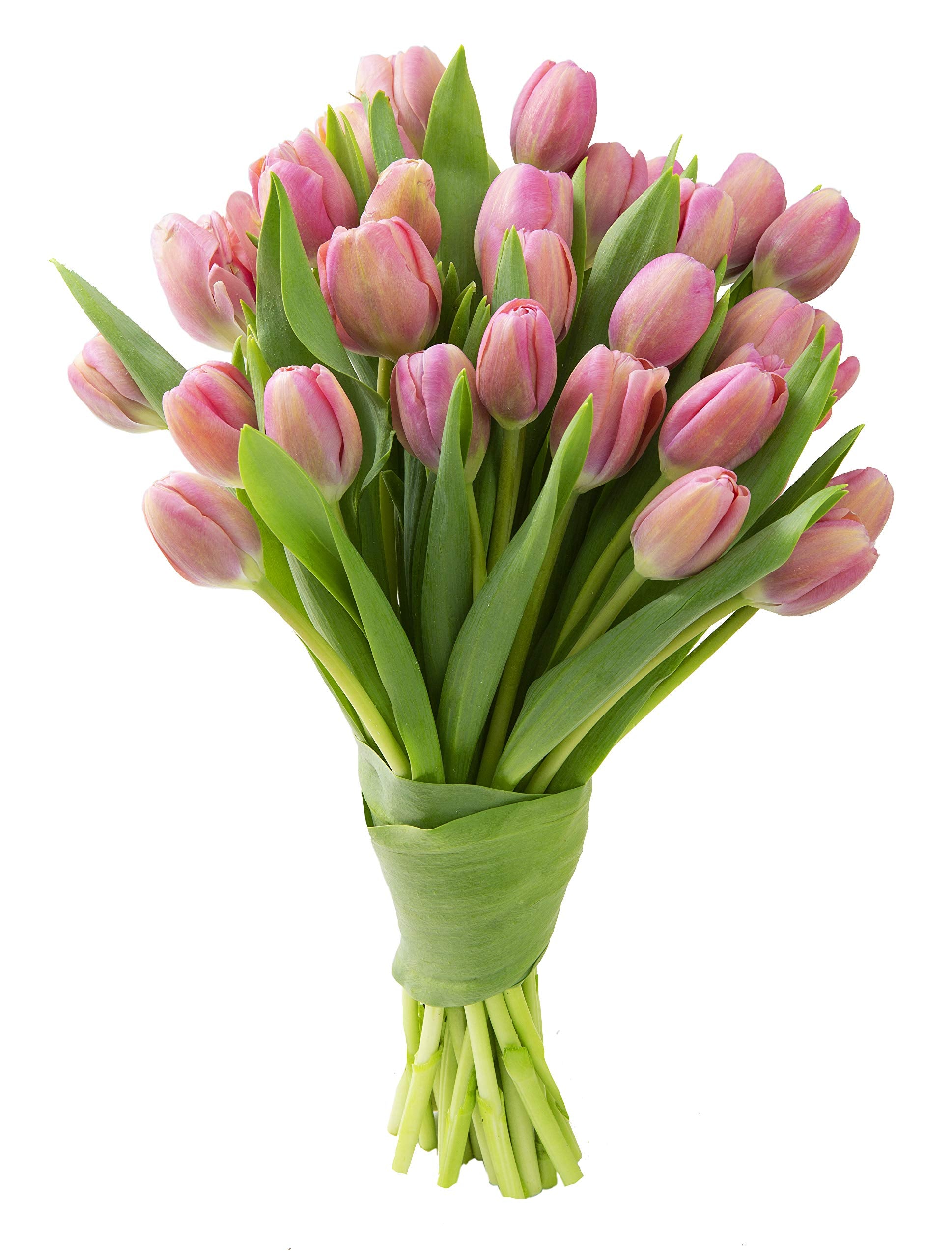 Blooms2Door Flowers - Mothers Day Collection - 30 Pink Tulips - Farm-Fresh Flowers - Gift for Birthday, Anniversary, Thank You