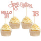Gyufise 24Pack Glitter 18Th Birthday Cupcake Toppers Sweet 18 Hello 18 Eighteen Cupcake Picks For 18Th Birthday Cake Decorations