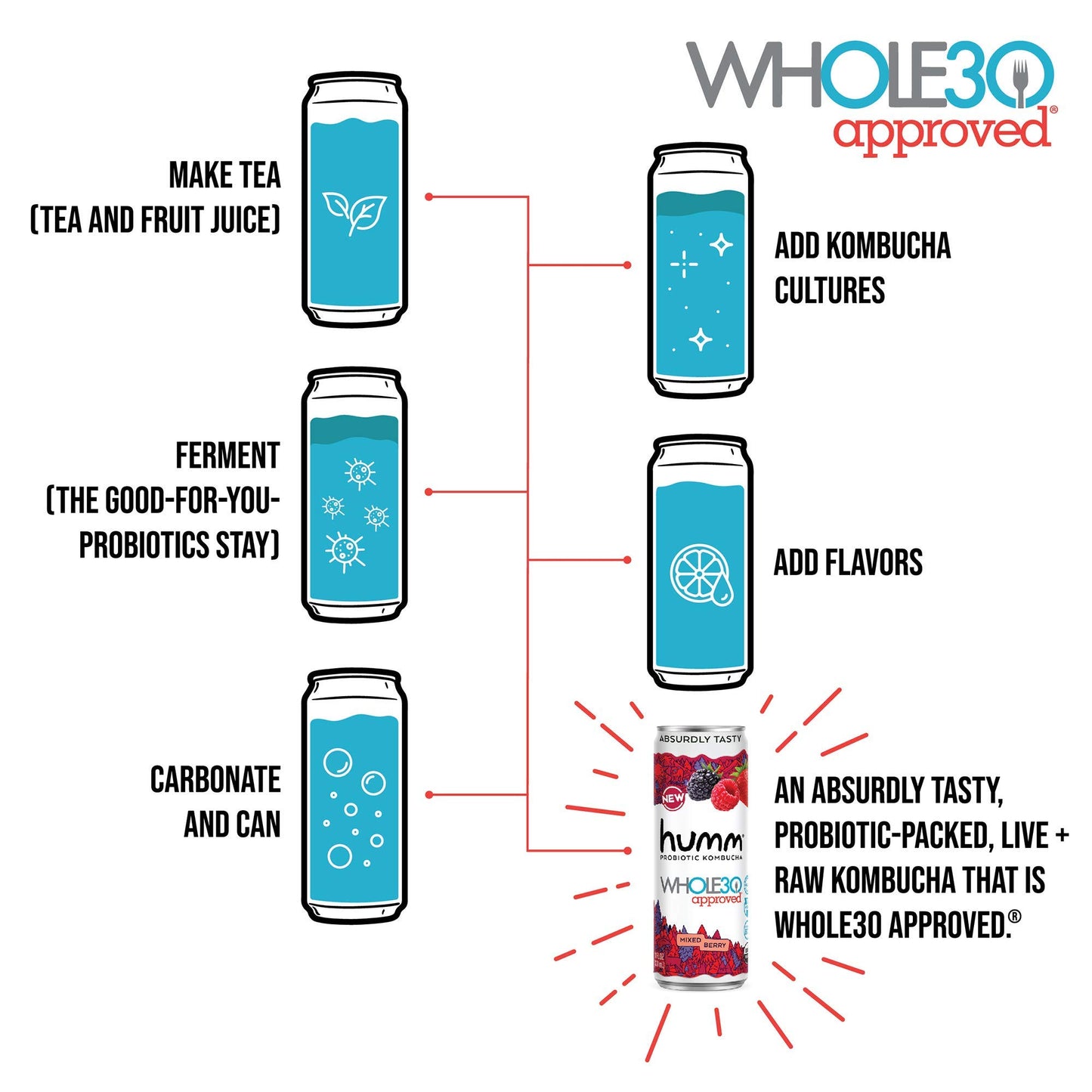 Humm Whole30 Approved Kombucha Variety Pack, Strawberry Blossom, Cherry Limeade, Ruby Red Grapefruit, Organic, Vegan & GMO Free