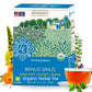 Four Elements 4E Minus Sinus Tea, Organic Herbal Tea with Spearmint, Mullein & Thyme, 16 Teabags, Caffeine-Free