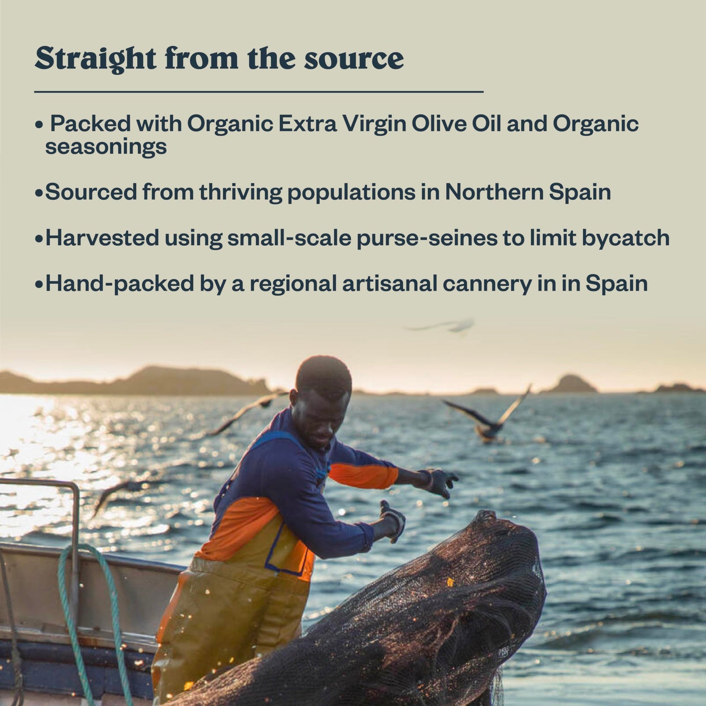 Patagonia Provisions - Wild Sardines In Extra Virgin Olive Oil | Responsibly Sourced In Spain | 15G Protein & Gluten Free