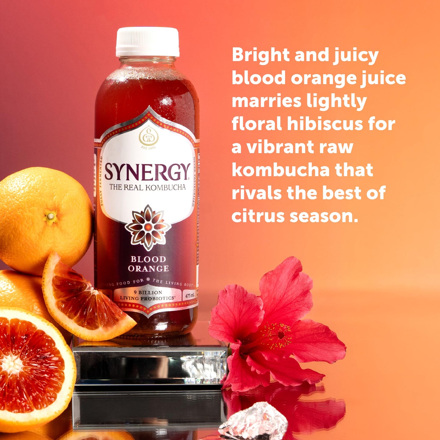 SYNERGY The Real Kombucha - Blood Orange - 16 fl oz Bottle - Raw Probiotic Drink for Gut Health and Immune Support