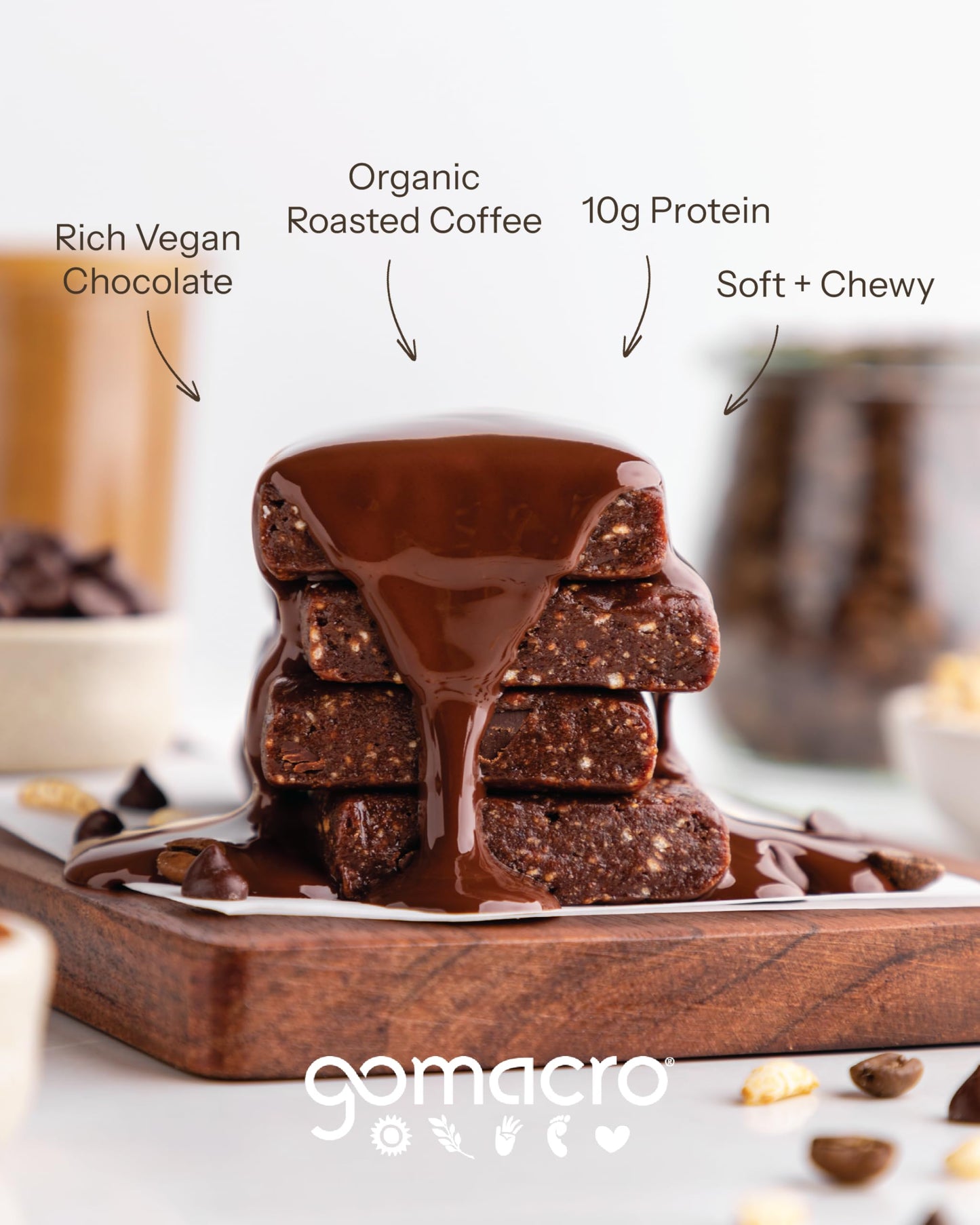 Gomacro Macrobar Organic Vegan Protein Bars - Mocha Chocolate Chip (2.3 Ounce Bars, 12 Count)