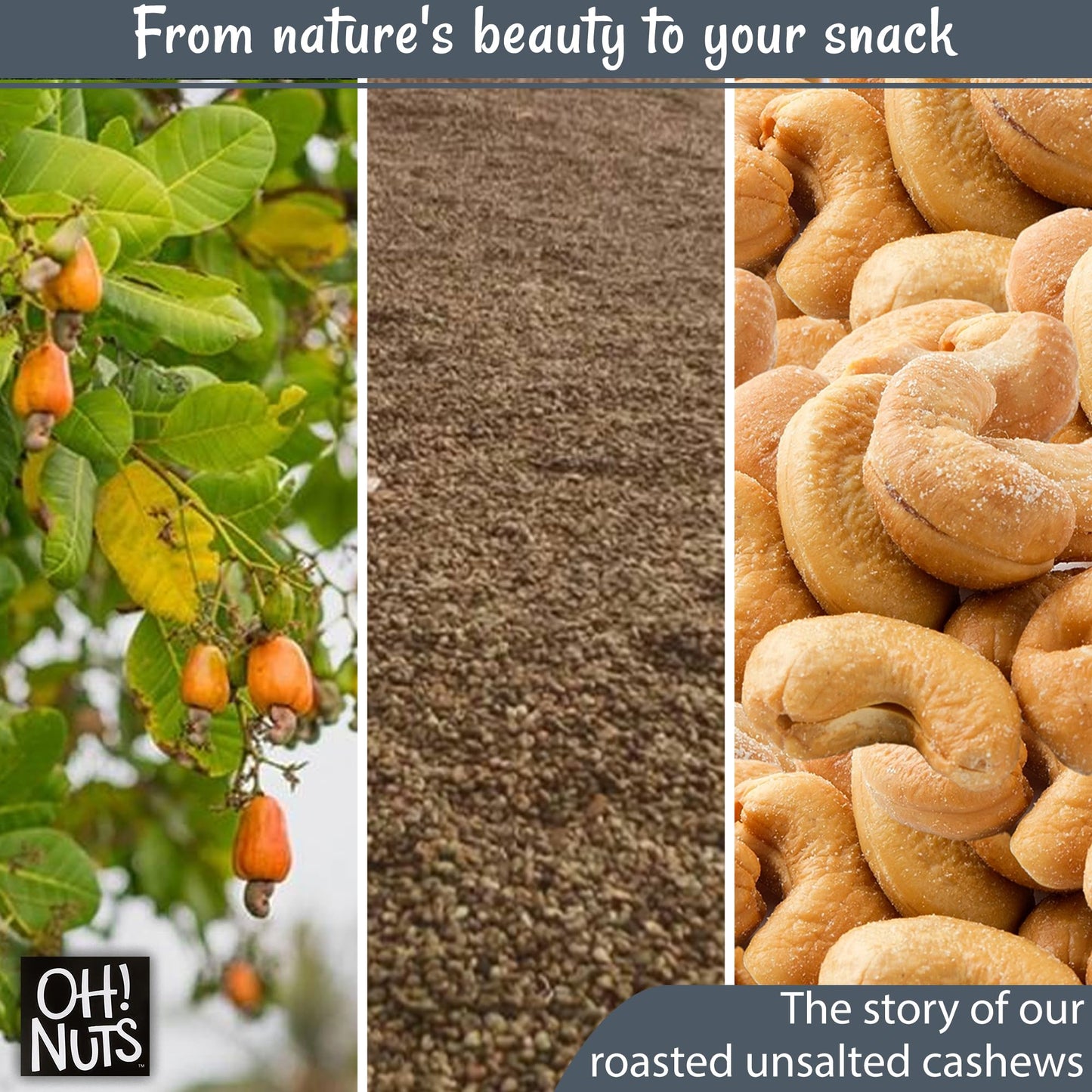 Oh! Nuts Cashews Roasted Unsalted - 1 Lb - Roasted Unsalted Cashews - Packed In New York Zip-Seal Bag For Exceptional Freshness