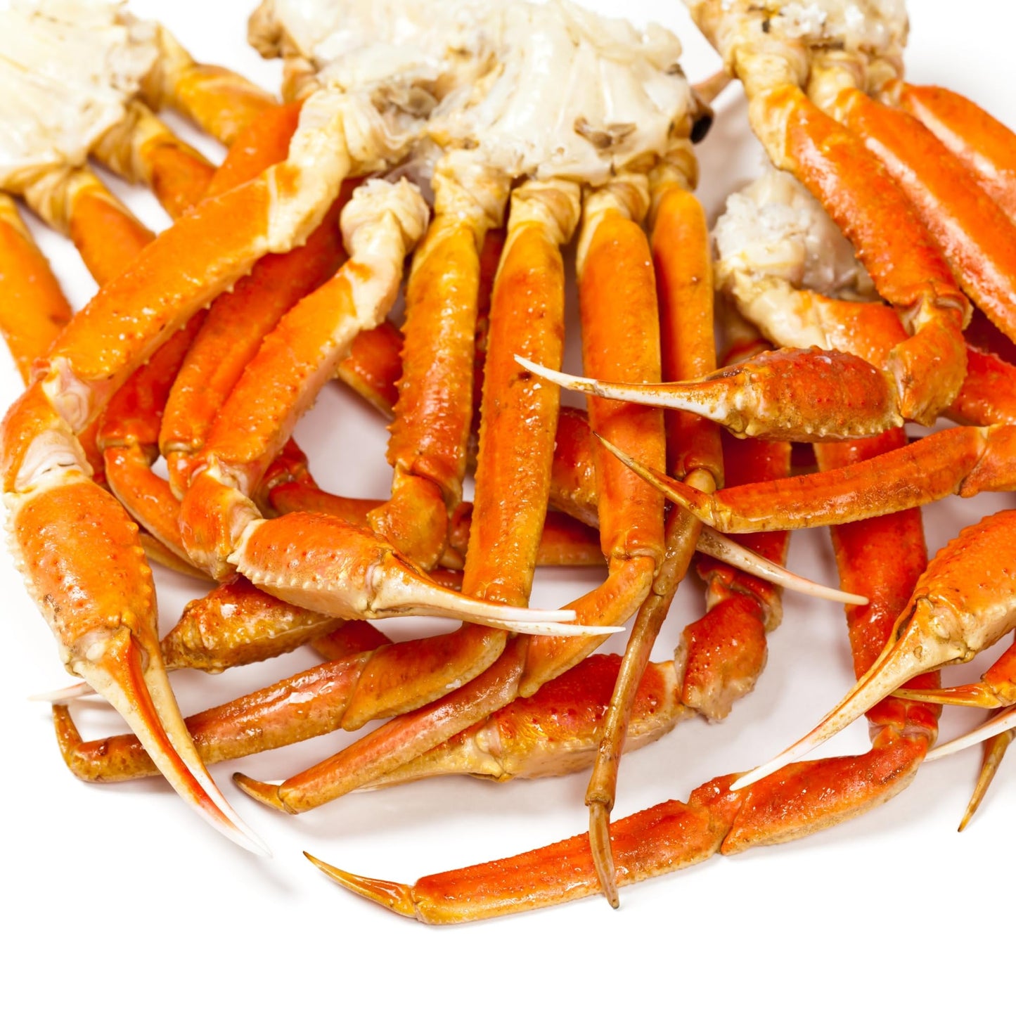 Today Gourmet Foods Of Nc- Snow Crab Legs- 8Oz-10Oz Clusters (20Lbs)