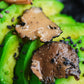 La Rustichella - Whole Black Truffles - 100% Made In Italy | Vegan, Gluten-Free, Cholesterol-Free (1.4 Oz (40 G))