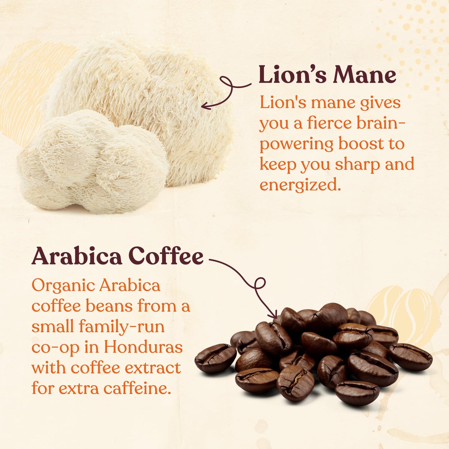 Four Sigmatic Focus High Caffeine Coffee Pods Compatible with Nespresso Original | Organic Dark Roast Espresso with Added Focus | Mushroom Coffee Enhanced with Lions Mane | High Caffeine 10ct